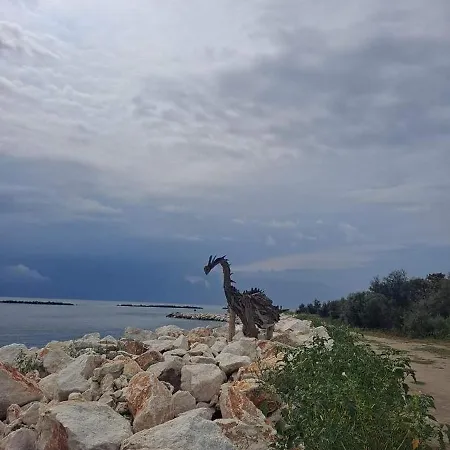 Vicino Al Mare דירה לידו דלה נציוני